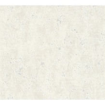 AS Création Vliestapete Beton Concrete & More Tapete in Vintage Beton Optik grau weiß 366002 10,05 m x 0,53 m
