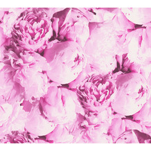 AS Création Vliestapete Neue Bude 2.0 Edition 2 Romantic Flowery rosa 373981 10,05 m x 0,53 m