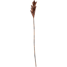 Bloomingville Afina Deko-Blume, Braun, Palm Leaf L10xH93xW10 cm