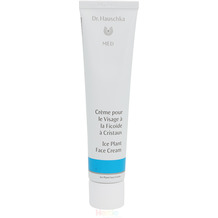 Dr. Hauschka Med Ice Plant Face Cream Strengthens Very Dry Skin 40 ml