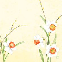 Duni Dunisoft-Servietten Daffodil Joy 40 x 40 cm 1/4 Falz 60 Stück