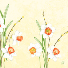 Duni Klassikservietten Daffodil Joy 40 x 40 cm 4-lagig, geprägt 1/4 Falz 50 Stück