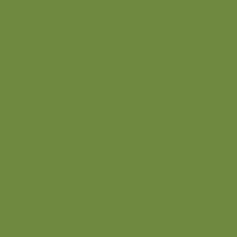 Duni Zelltuchservietten leaf green 24 x 24 cm 1/4 Falz 250 Stück
