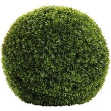 Fink Living Buchskugel Buxus - grün - H. 50cm x B. 50cm x D. 50cm