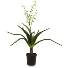 fleur ami Aloe Kunstpflanze, blühend 106 cm