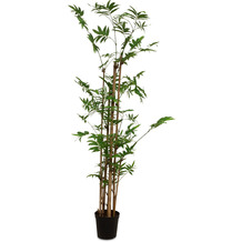 fleur ami Bamboo Kunstpflanze 152 cm