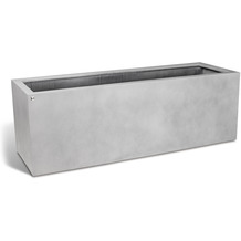 fleur ami Division Lite Pflanzkasten mit Rollenaufnahme, 150 x 50 x 50 cm, concrete steingrau