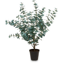 fleur ami Eucalyptus Kunstpflanze 90 cm
