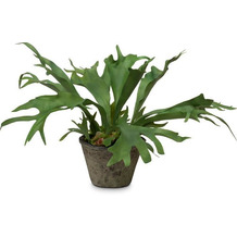 fleur ami Staghorn Kunstpflanze 55 cm