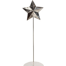 fleur ami Star-On-A-Stick - Dekostab 25x5/90 cm, Edelstahl, poliert