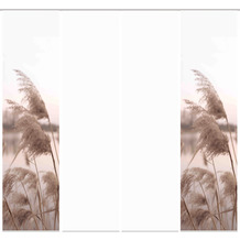 Home Wohnideen 4er Set Schiebewand Deko Digitaldruck Trawy Natur 245x60 cm