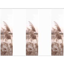 Home Wohnideen 5er Set Schiebewand Deko Digitaldruck Trawy Natur 245x60 cm