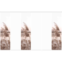 Home Wohnideen 6er Set Schiebewand Deko Digitaldruck Trawy Natur 245x60 cm