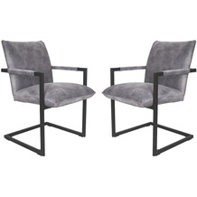 HSM Collection Dining chair Boston S/2 - 56x68x89 - Adore 180 Dolhin grey - Velours/metal