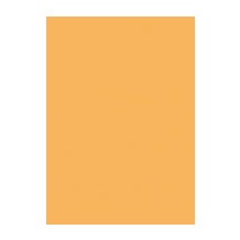 irisette biber merkur 0006 mandarin Spannbetttuch 100x200 cm