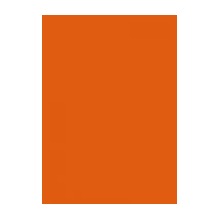 irisette jersey jupiter 0008 orange Spannbetttuch 100x200 cm