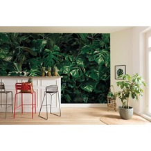 Komar Digitaldruck Fototapete auf Vlies "Tropical Wall" 400 x 250 cm