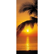 Komar Fototapete Palmy Beach Sunrise 92 x 220 cm
