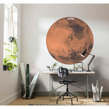 Komar Mars 125 x 125 cm Fototapete Dots