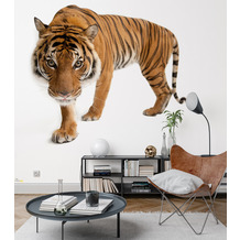 Komar National Geographic Tiger 300 x 280 cm