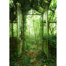 Komar Stefan Hefele / Lost Places Vlies Fototapete "Greenhouse" 200 x 280 cm