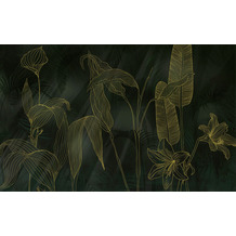 Komar Vlies Fototapete - Darkest Green - Größe 400 x 250 cm