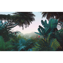 Komar Vlies Fototapete - Jungle Morning- Größe 400 x 250 cm (Breite x Höhe)