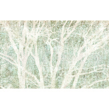 Komar Vlies Fototapete - Peaceful Place - Größe 400 x 250 cm