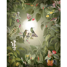 Komar Vlies Fototapete - Wildlife Birds - Größe 200 x 250 cm (Breite x Höhe)