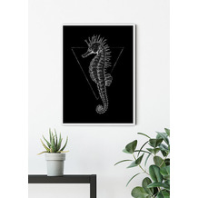 Komar Wandbild Sea Horse Black 30 x 40 cm