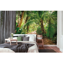 Livingwalls Fototapete Designwalls Dschungeltapete Palm Walk braun grün weiß Vliestapete glatt 3,50 m x 2,55 m