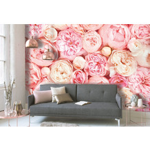 Livingwalls Fototapete Designwalls Rosentapete Roses creme rosa weiß Vliestapete glatt 3,50 m x 2,55 m