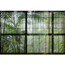 Livingwalls Fototapete Walls by Patel botanische Tapete Rainforest grün schwarz Vliestapete glatt 4,00 m x 2,70 m