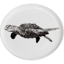 Maxwell & Williams MARINI FERLAZZO Teller 20 cm, Green Sea Turtle, Premium-Keramik, in Geschenkbox
