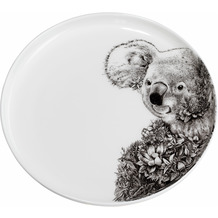 Maxwell & Williams MARINI FERLAZZO Teller 20 cm, Koala, Premium-Keramik, in Geschenkbox