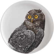 Maxwell & Williams MARINI FERLAZZO Dessertteller 20 cm, Owl, Premium-Keramik, in Geschenkbox mehrfarbig
