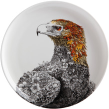 Maxwell & Williams MARINI FERLAZZO Teller Eagle, Premium-Keramik, in Geschenkbox mehrfarbig