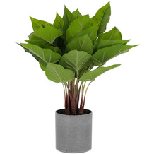 Nosh Anthurium Kunstpflanze 50 cm