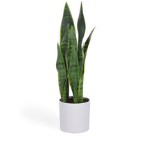 Nosh Sansevieria Kunstpflanze mit Topf weiß 55 cm