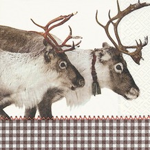 Paper+Design Tissue Servietten Reindeer 33 x 33 cm 20 Stück