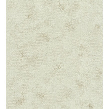 Rasch Vlies Tapete Muster & Motive 550658 Highlands Grün-pastellgrün 0.53 x 10.05 m