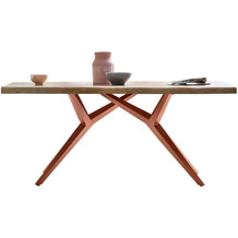 SIT TABLES & CO Tisch 200x100 cm Platte Mango mit Baumkante, extravagantes braunes Gestell