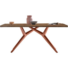 SIT TABLES & CO Tisch 200x100 cm Platte Teak mit Bruchkante, extravagantes braunes Gestell