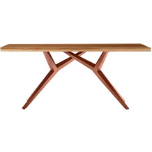 SIT TABLES & CO Tisch 200x100 cm Platte Teak natur, extravagantes braunes Gestell