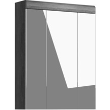 xonox.home Scout Spiegelschrank (B/H/T: 60x79x18 cm) in Rauchsilber Nachbildung und weiß Hochglanz tiefzieh