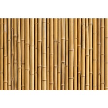 XXLwallpaper Fototapete Bambus 150 g Vlies Basic 2,00 m x 1,33 m