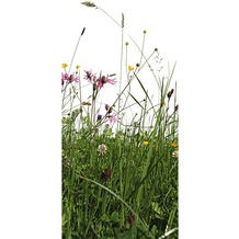 XXLwallpaper Fototapete Grass 150 g Vlies Basic 0,91 m x 2,11 m