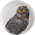 Maxwell & Williams MARINI FERLAZZO Teller 20 cm, Owl, Premium-Keramik, in Geschenkbox