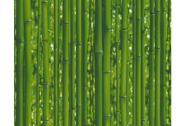 AS Création Mustertapete Simply Decor Tapete grün 959361 10,05 m x 0,53 m