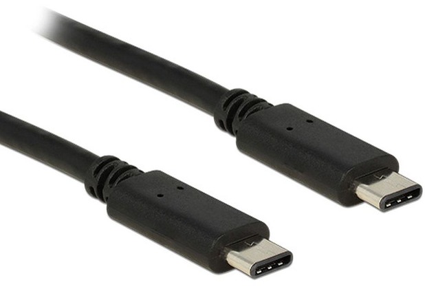 DeLock Kabel USB Type-C 2.0 St. >USB Type-C 2.0 St. 1 m